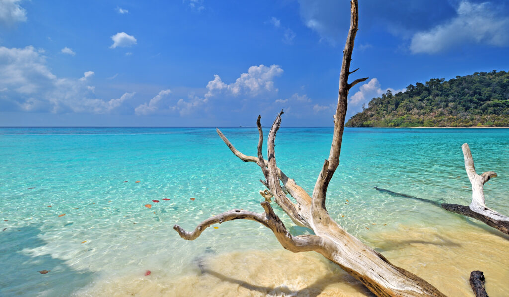 kohlantacarrental L 4